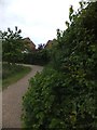 Footpath in grounds of the Selsey Centre