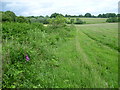 Path near Goddards Green