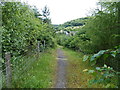 Path from West Bank towards East Bank, Cwmtillery