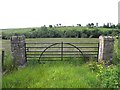 Gate with square pillars, Drumlish