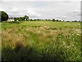 Drumlish Townland