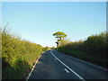 The A395 towards Pipers Pool