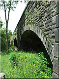 NS3865 : Bridge of Weir railway viaduct by Thomas Nugent