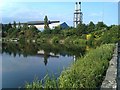 A peaceful corner of the disused Bute East Dock