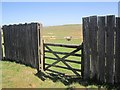 NU0120 : Gate, Ilderton Moor by Richard Webb