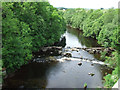 Weirs on the River Gryfe