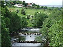 NS3865 : Weirs on the River Gryfe by Thomas Nugent