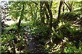 Stream from Yearnor Mill Bridge