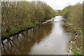 Afon Cothi/River Cothi