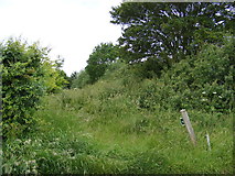 TM2980 : Footpath to Mill Lane by Geographer