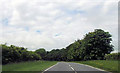 A185 approaching layby near Bunkers Farm