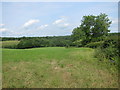 Grazing meadow beside Horwood Lane