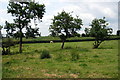 Footpath goes through this grazing field