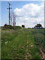 Powerlines by the bridleway to Hurst End