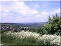 SK3087 : Rivelin Valley from The Bole Hills by Andrew H