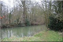 TL4411 : River Stort by N Chadwick