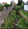 Unnamed small stream, Eardisley