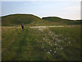 SD5494 : Cotton Grass on Hay Fell by Karl and Ali