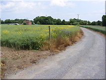 TM3176 : Church Farm entrance & footpath to Magna Farm by Geographer