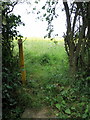 Footpath to Boxhedge Farm