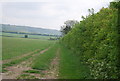 Footpath to Wrotham Water