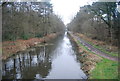 Basingstoke Canal from Cowshot Bridge