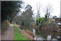 Basingstoke Canal