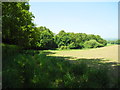 Cuddington Lane to Home Farm footpath