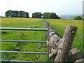 Erringden Footpath 3 at Doles Lane