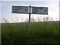 TM3278 : Roadsign on the B1123 Harleston Road by Geographer