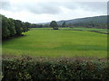 Pasture land, Goytre