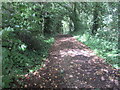 Track to Park Bottom Farm