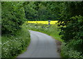 Barton Lane towards Barton in the Beans