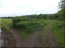 SS6406 : Track and field entrance near Graysbridge Farm by David Smith