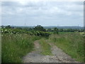 Farm track off the A156