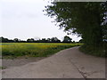 Footpath to Scalesbrook Lane & The Danger