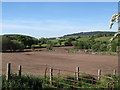 Ploughed land between Dernaroy Road and the valley wetland