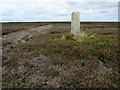 SE1183 : Boundary Stone between Brown Rigg & Jenny Binks Moss by Chris Heaton