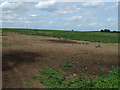 Farmland off Mill Lane