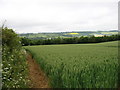 Fields above Withington