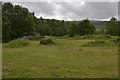 Remains of old farmstead at Kinloch