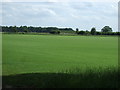 SK8473 : Turf field, Thorney Gate Farm by JThomas