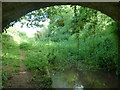 Hereford & Gloucester Canal - from under Cold Harbour Bridge