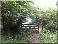 Clapper Cross from the woodland by the Taw