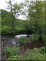 River Taw near Clapper Bridge