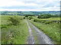 NY8567 : Byway near Fell Cottage by Oliver Dixon