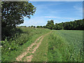 Bridleway to Shalford