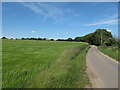 Road from Shalford to Waltham Cross