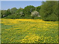 Wychavon Way near Carrant Brook Farm