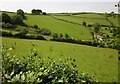 Fields at Halscombe